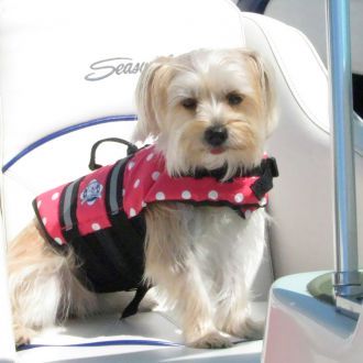 Pet Dog Saver Vest Flotation Life Jacket Rose